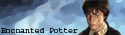 Enchanted Potter Button
